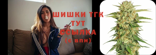 сатива Армянск