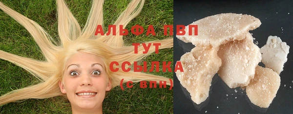 сатива Армянск