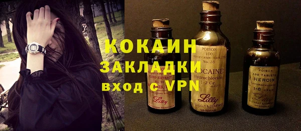 дживик Арсеньев