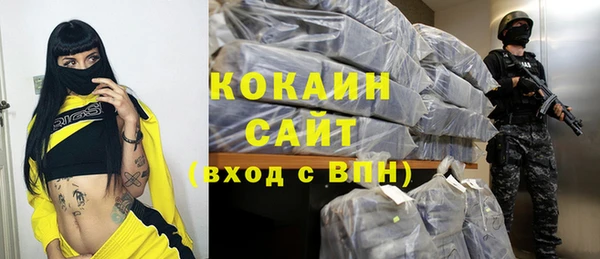 дживик Арсеньев