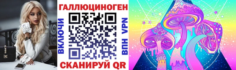 Купить где  Снежинск  Псилоцибиновые грибы Cubensis 